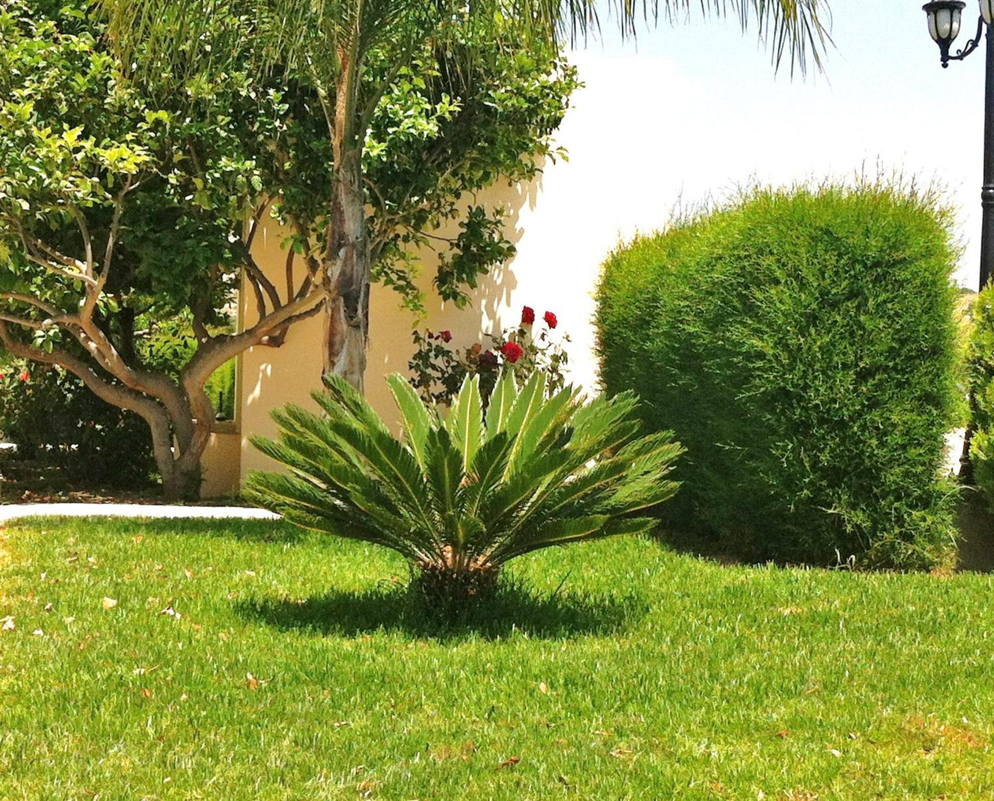 Himonas Apartments Pissouri Exterior photo